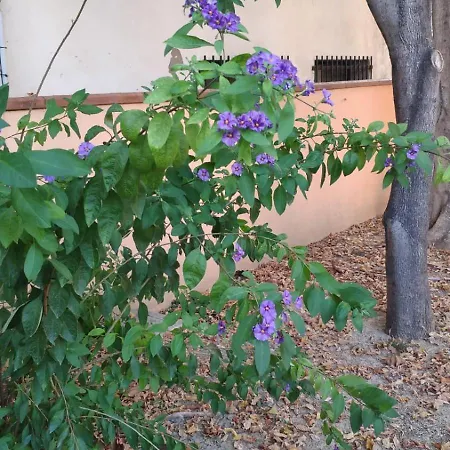 Il Giardino Di Sirius Вилла *